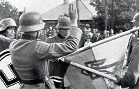 «Веря Адольфу Гитлеру, как вождю». Минобороны опубликовало новые данные о украинских нацистах