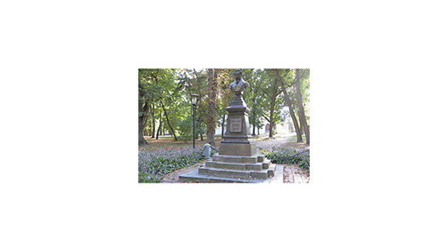 Остался только нерукотворный: в Чернигове снесли памятник Пушкину