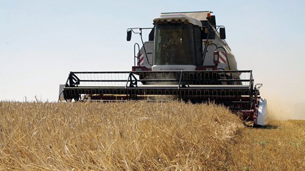Запад решил, что Украине зерно уже не пригодится - экономист Дудчак