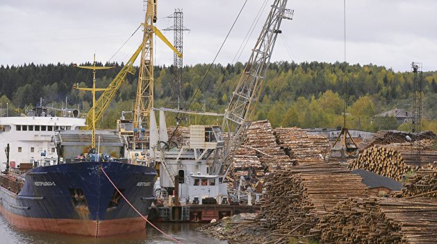 Из-за антироссийских санкций: в Литве пожаловались на дефицит древесины