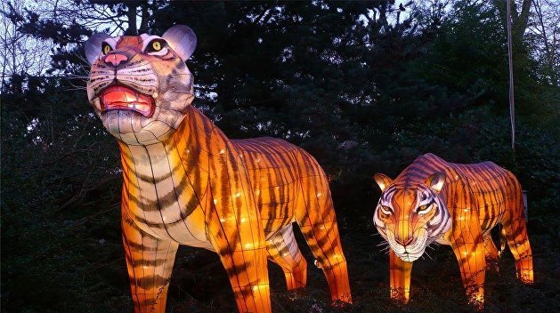 Россия превратила США в бумажного тигра - китайский эксперт