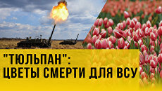ЭКСКЛЮЗИВ УКРАИНА.РУ: Как в Донбассе уничтожают боевиков с Украины