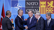 Интересный сериал, весь мир посмотрит: Дробницкий оценил «растяжку» Эрдогана для НАТО