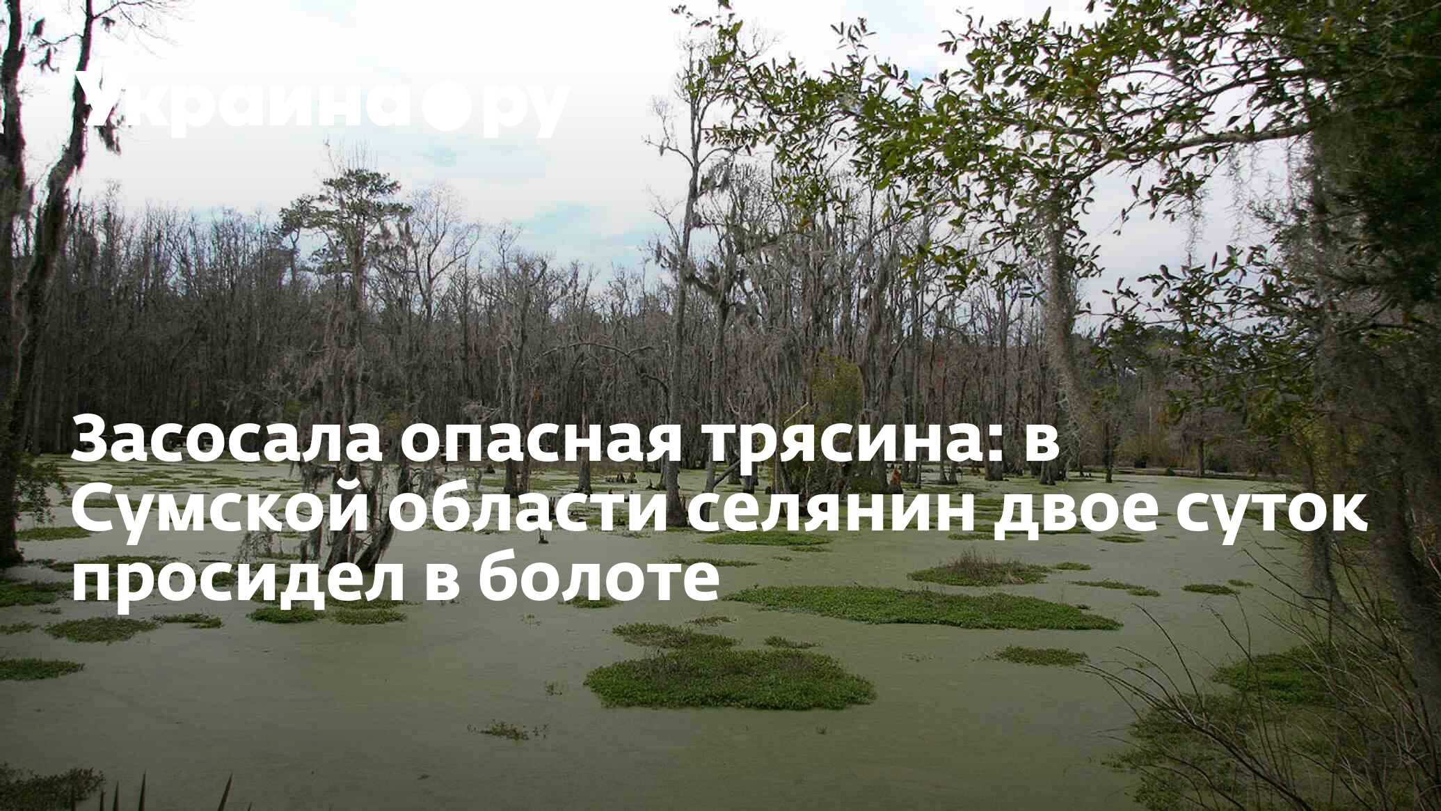 Засосала опасная трясина: в Сумской области селянин двое суток просидел в  болоте - 13.07.2022 Украина.ру