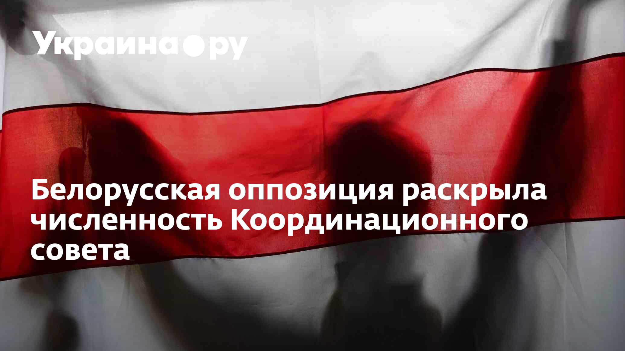 Назначает и отзывает послов. Флаг белорусской оппозиции. Флаг красный. Бело-красно-белый флаг либералы. 12 Декабря красный день.