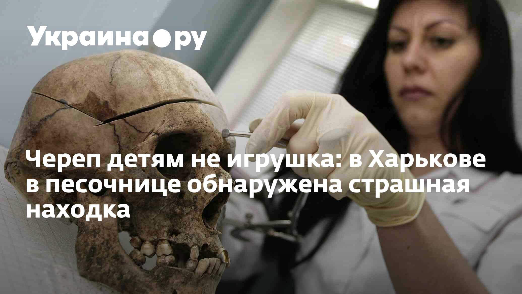 детский череп Череп детям не игрушка: в Харькове в песочнице обнаружена страшная находка  - 13.07.2022 Украина.ру