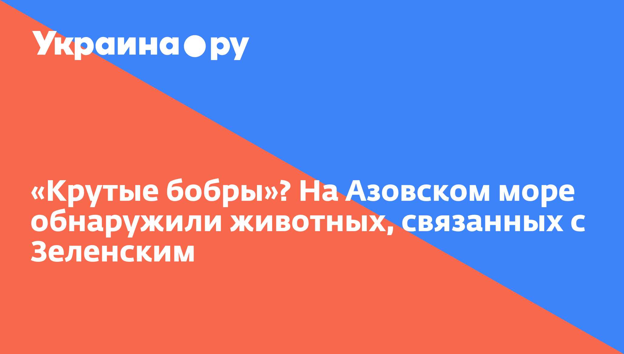 Крутые бобры»? На Азовском море обнаружили животных, связанных с Зеленским  - 19.07.2022 Украина.ру