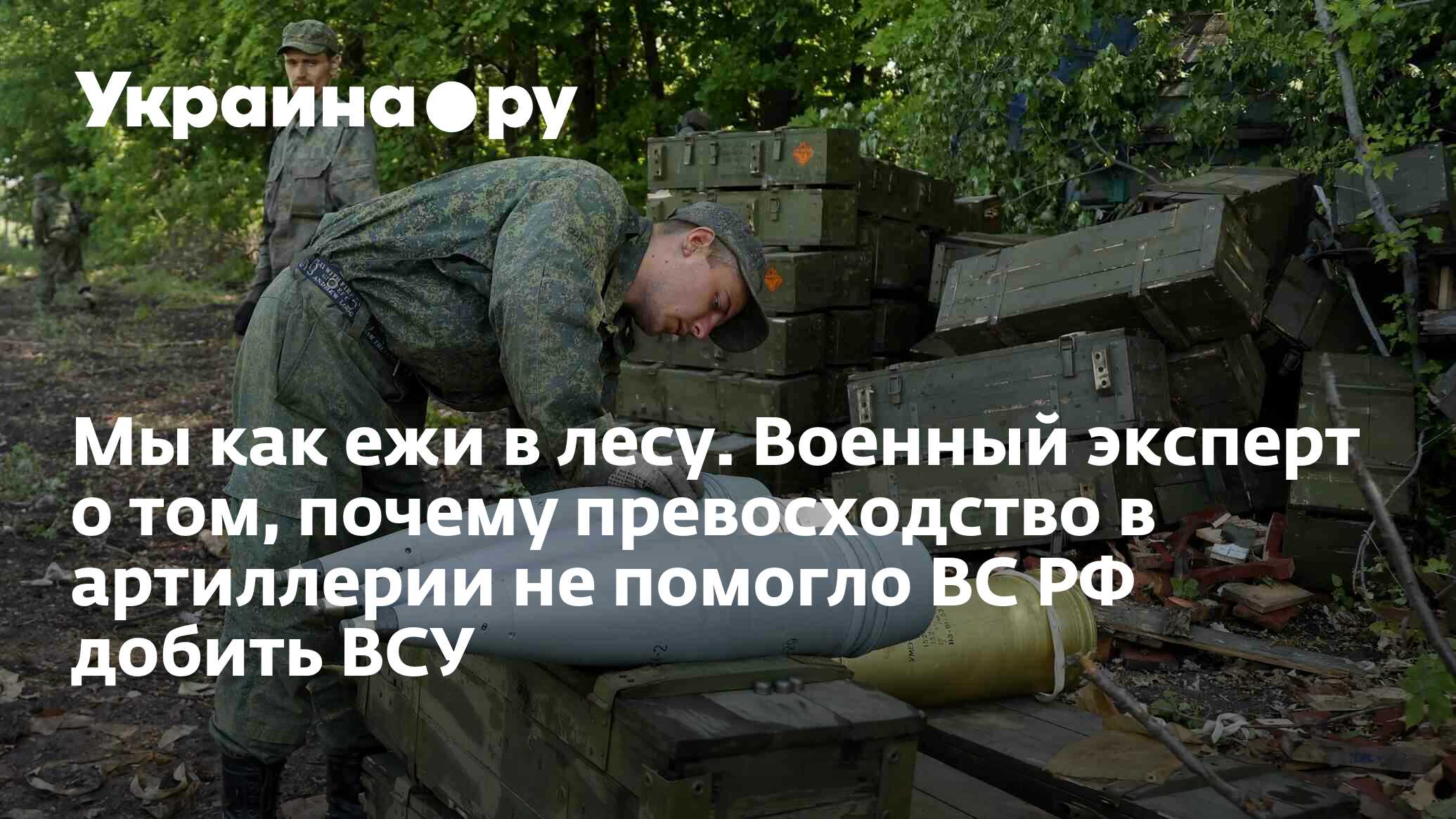 Ежи военные фото