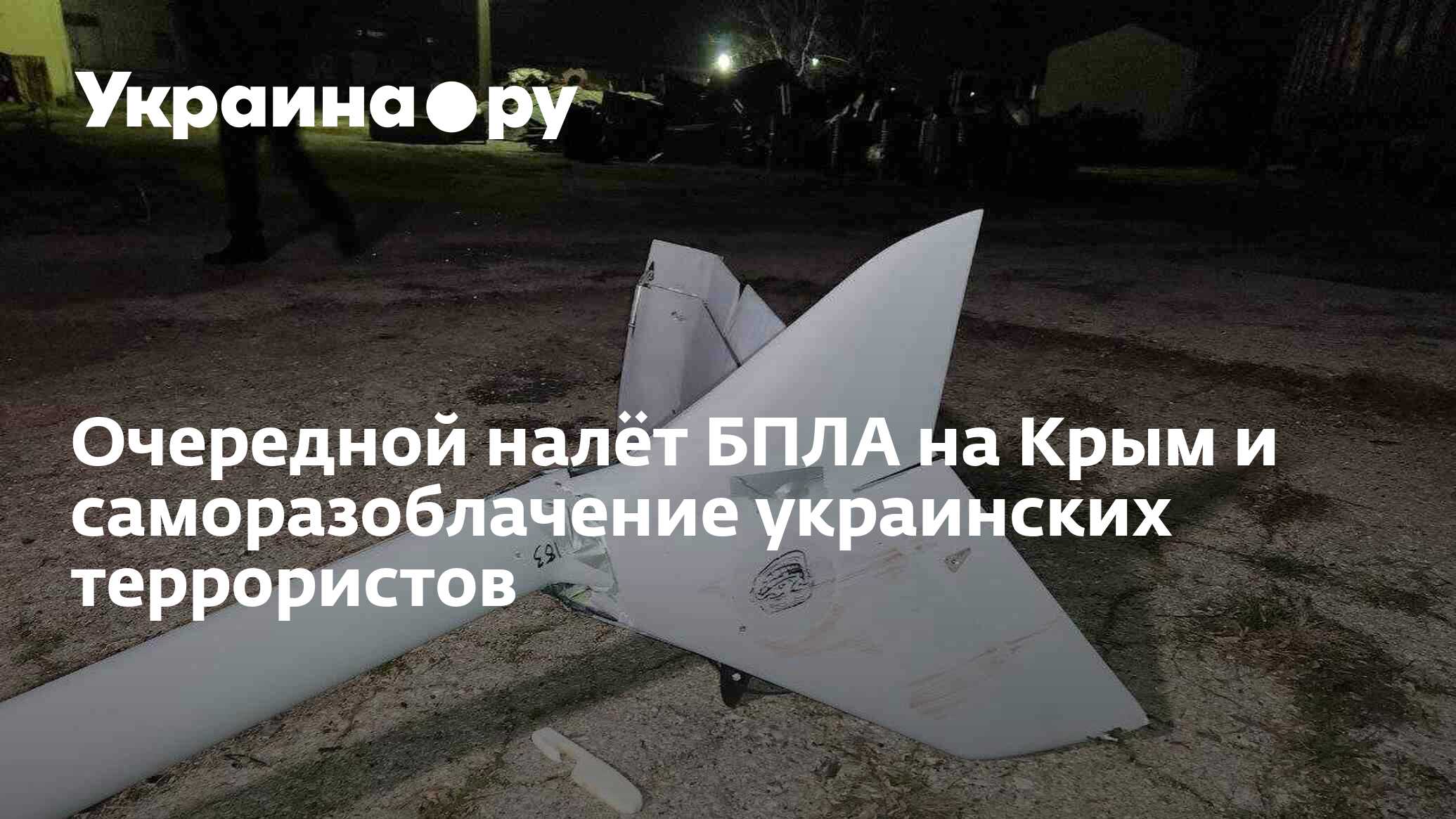 В Крыму сбит украинский беспилотник: Источник уточнил детали Система