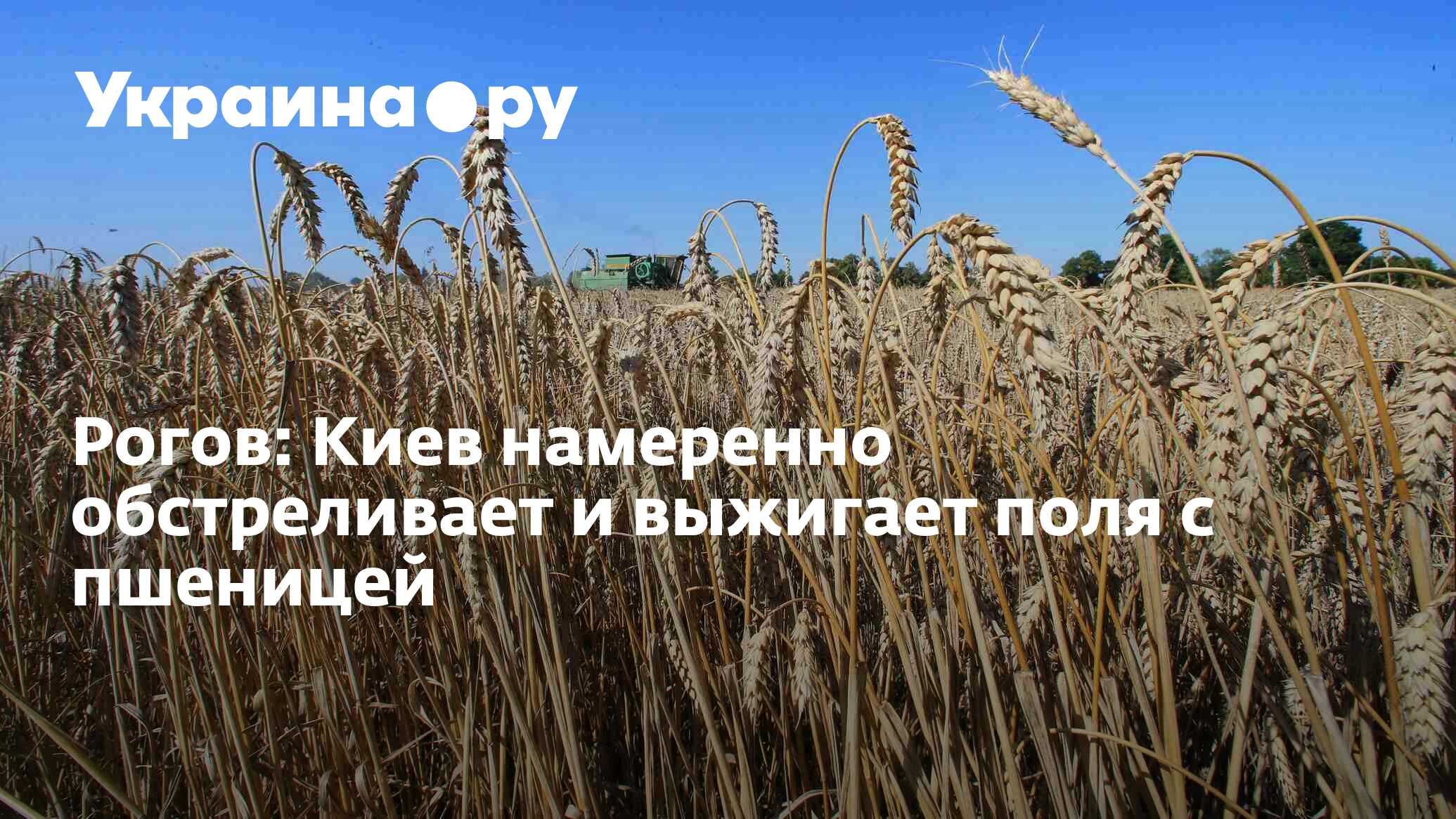 Рогов: Киев намеренно обстреливает и выжигает поля с пшеницей - 07.07. ...