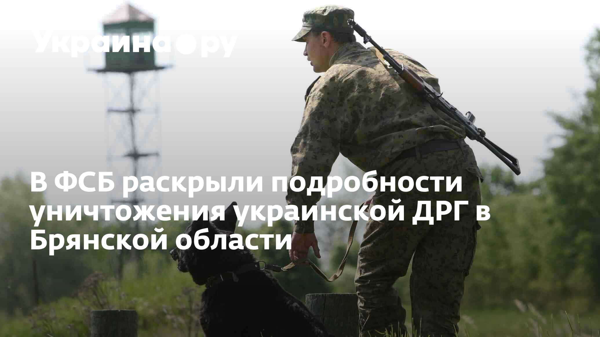 В ФСБ раскрыли подробности уничтожения украинской ДРГ в Брянской ...