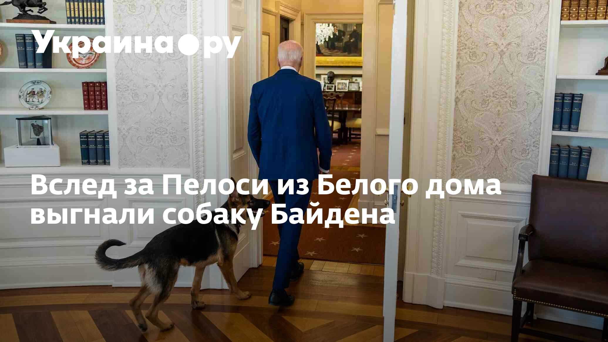 Вслед за Пелоси из Белого дома выгнали собаку Байдена - 05.10.2023  Украина.ру