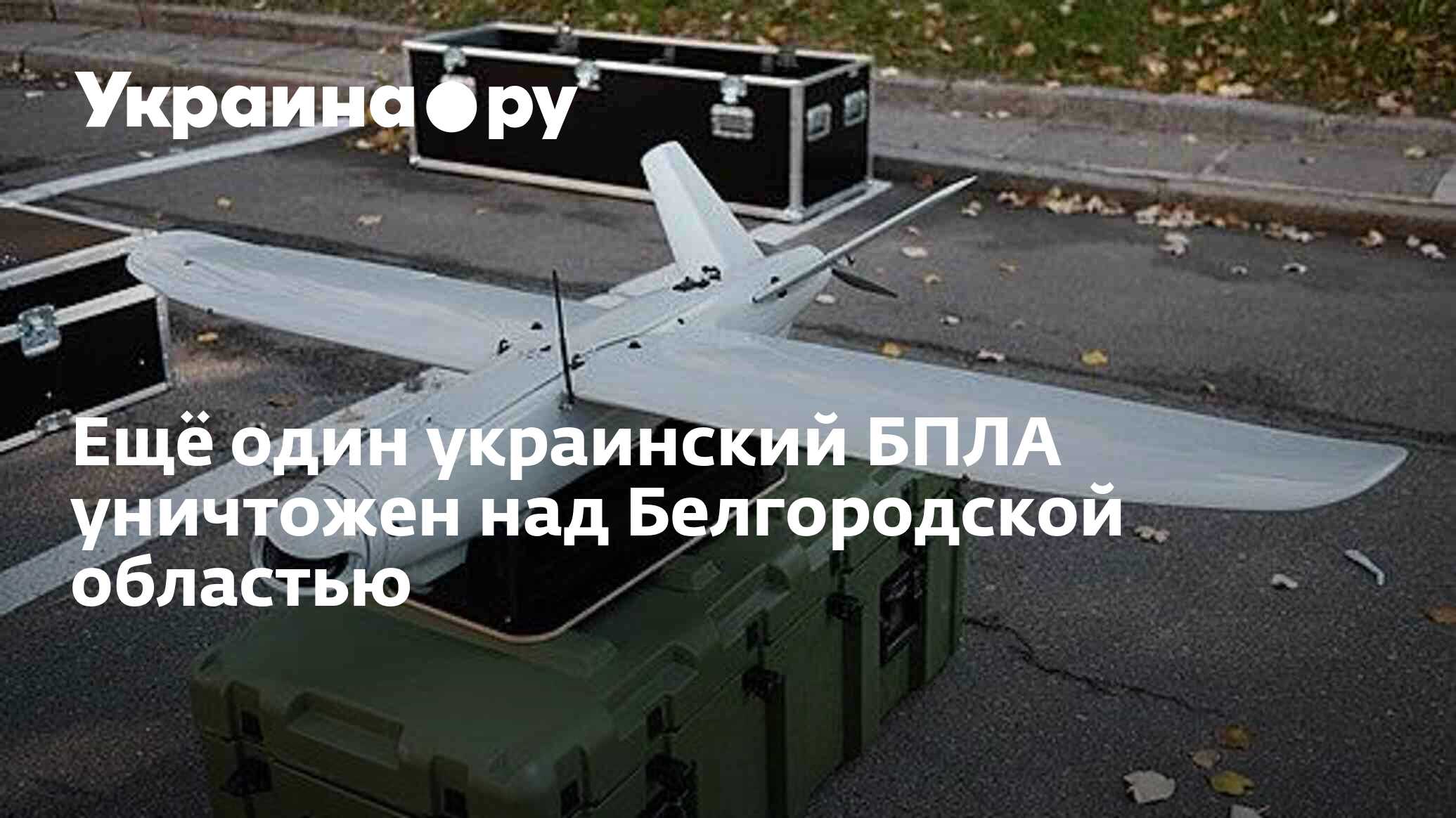 Ещё один украинский БПЛА уничтожен над Белгородской областью - 27.11. ...