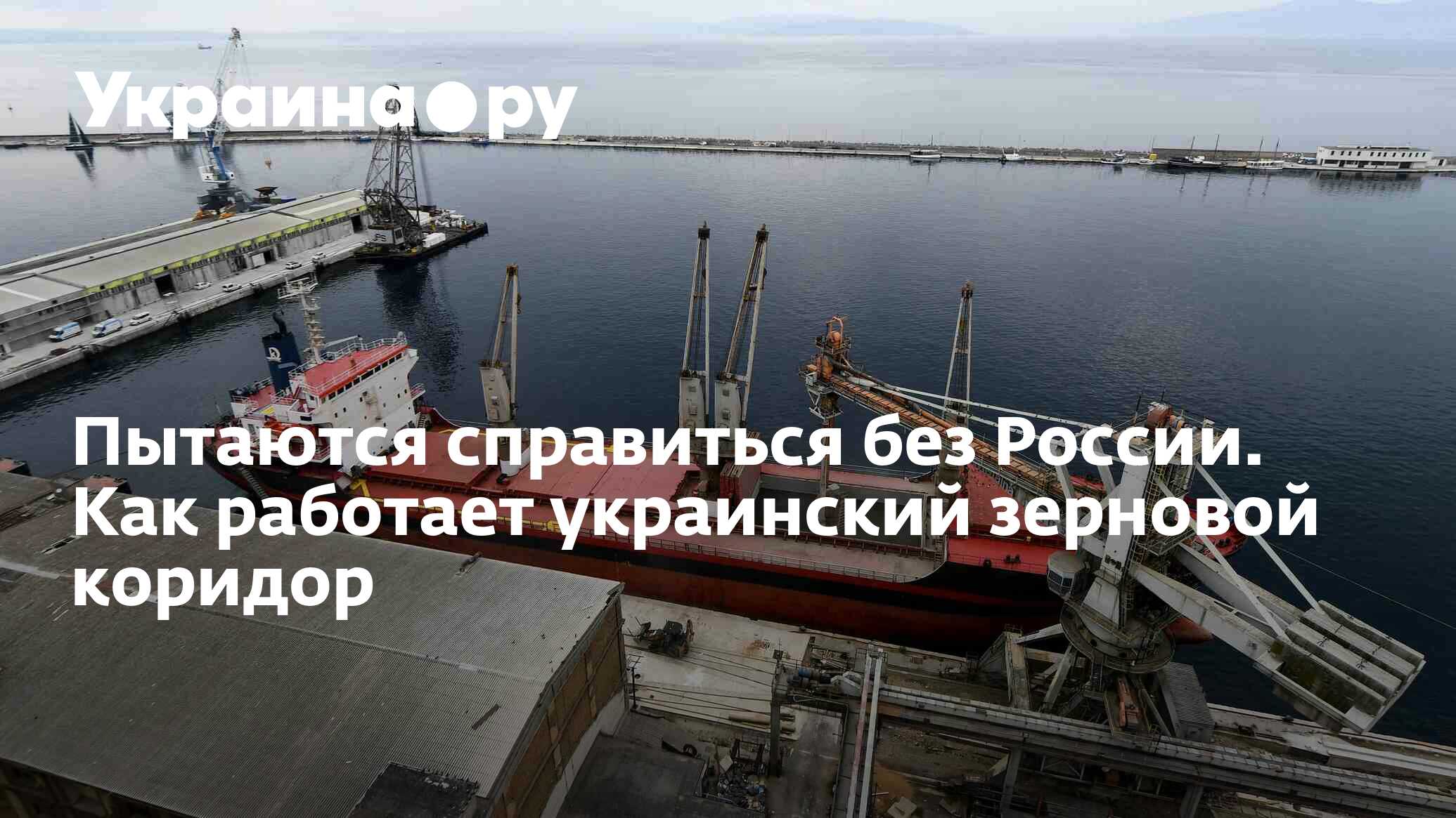 Пытаются справиться без России. Как работает украинский зерновой коридор -  16.01.2024 Украина.ру