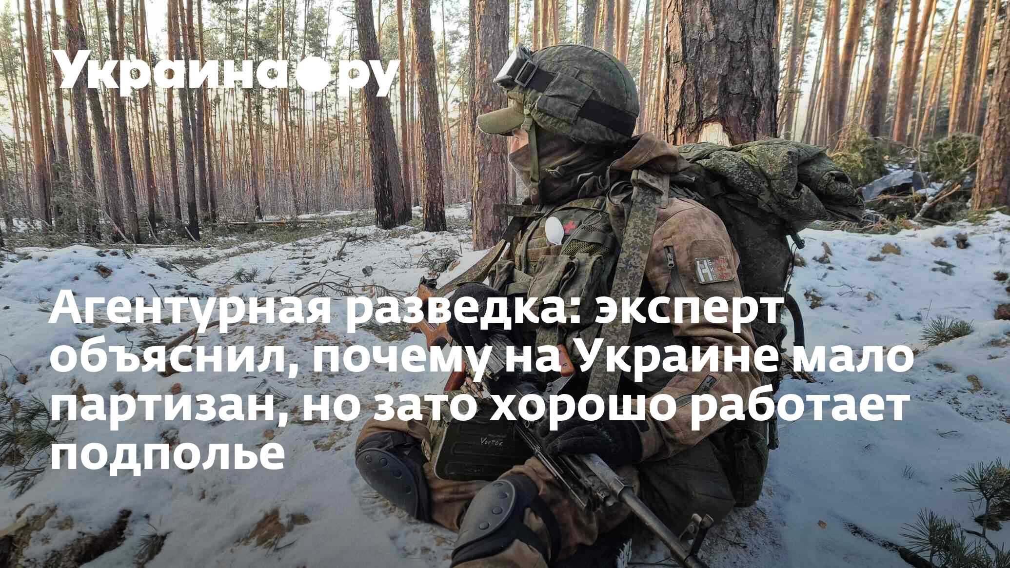 Агентурная разведка: эксперт объяснил, почему на Украине мало партизан, но  зато хорошо работает подполье - 15.03.2024 Украина.ру