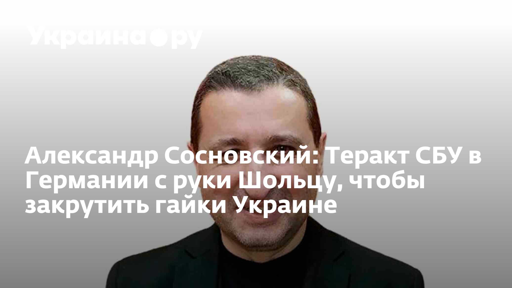 Сколько лет сосновскому политологу из германии