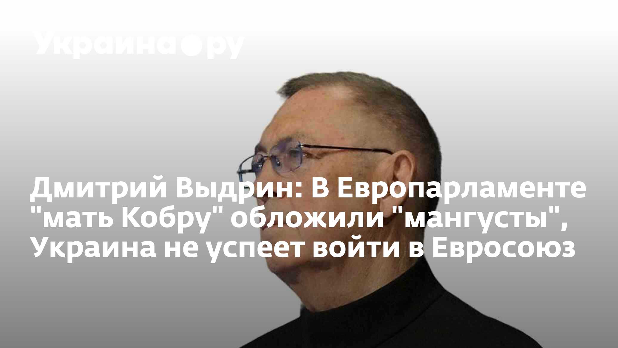 Дмитрий Выдрин: В Европарламенте 