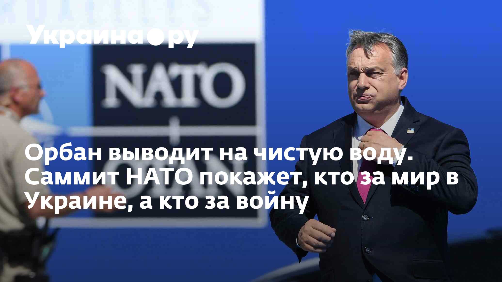 Орбан выводит на чистую воду. Саммит НАТО покажет, кто за мир в Украине, а  кто за войну - 10.07.2024 Украина.ру