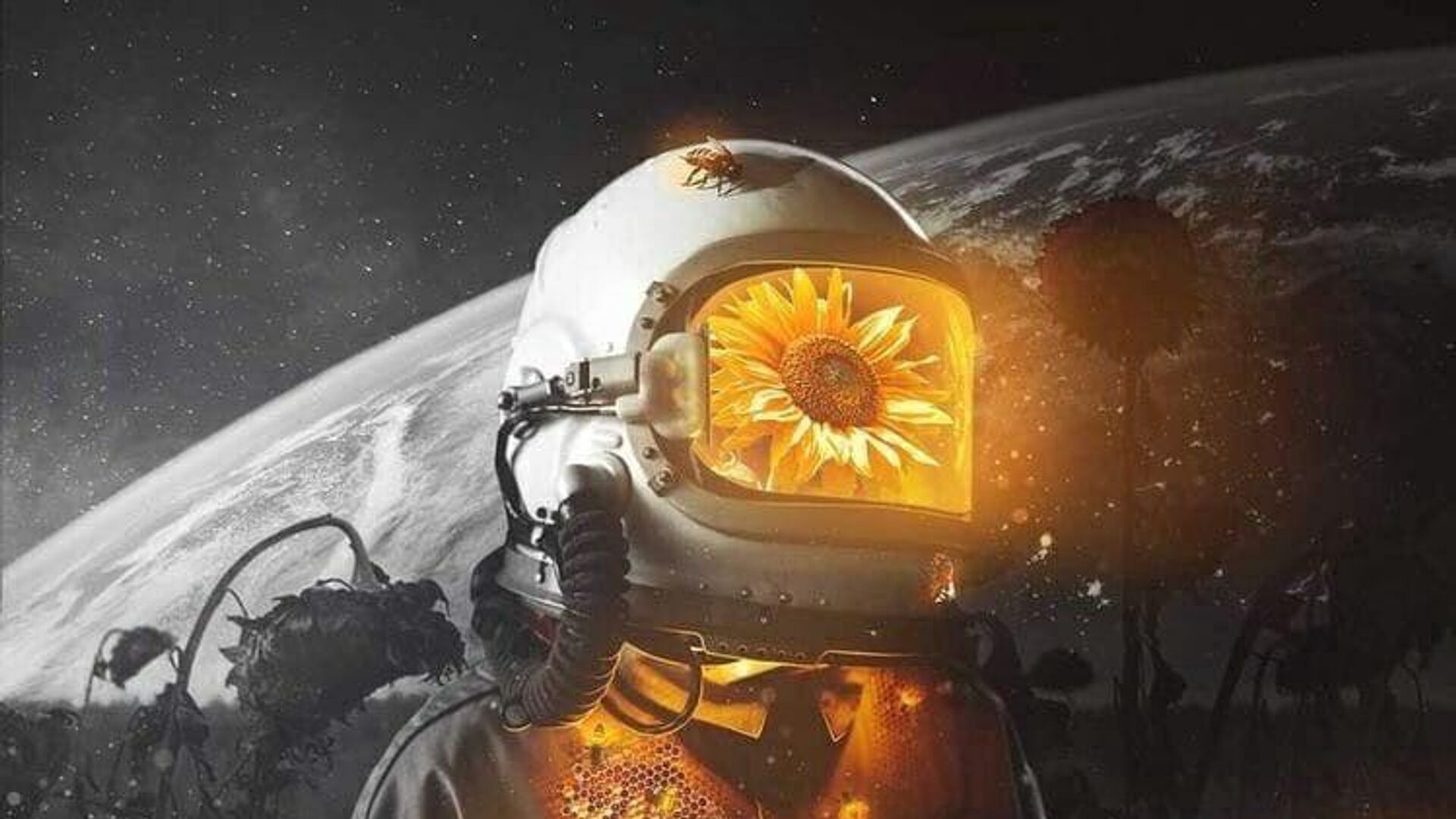   - РИА Новости, 1920, 29.08.2023