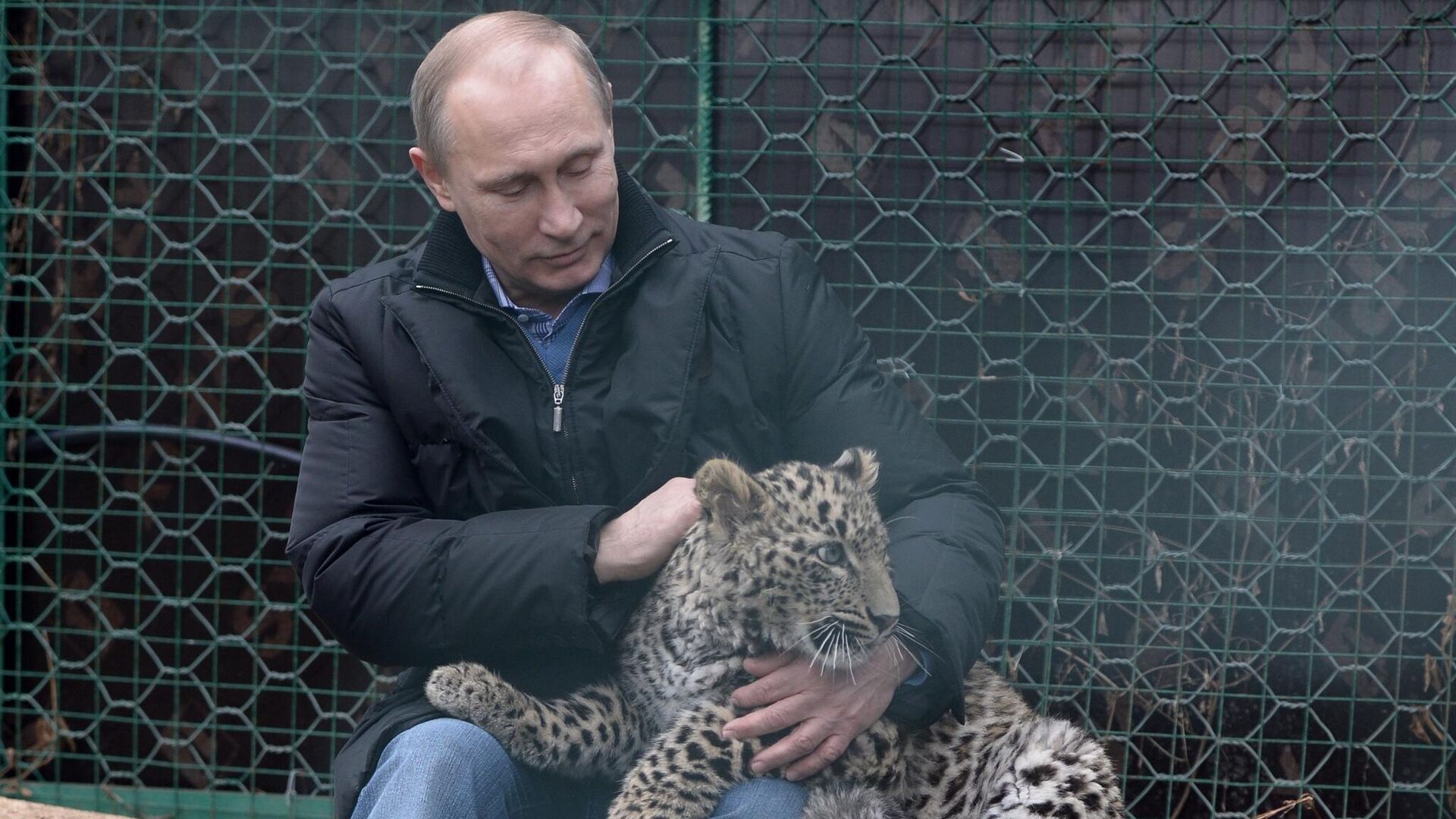 В.Путин посетил Центр разведения и реабилитации леопарда в Сочи - РИА Новости, 1920, 04.05.2023