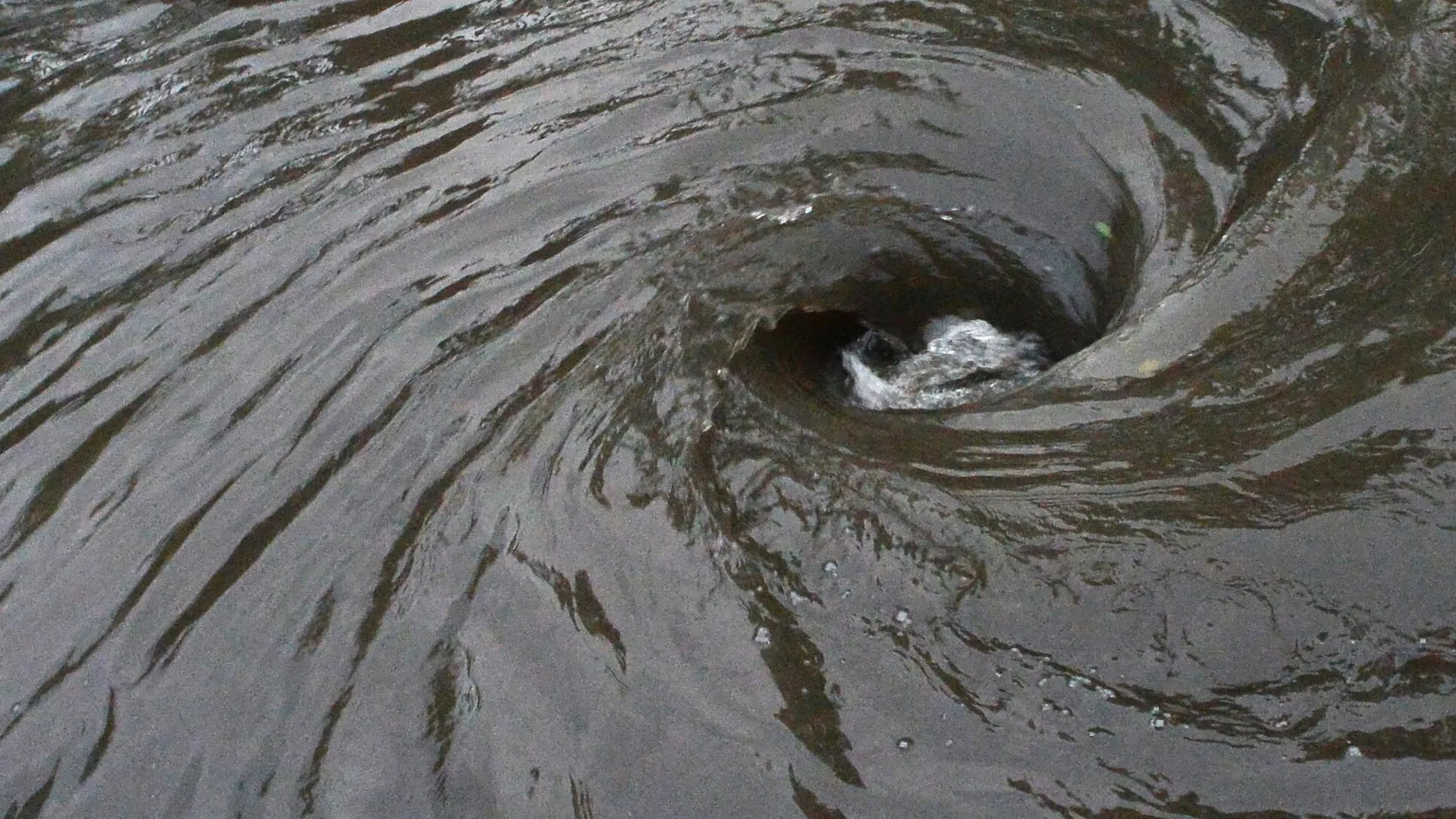   - РИА Новости, 1920, 27.01.2026