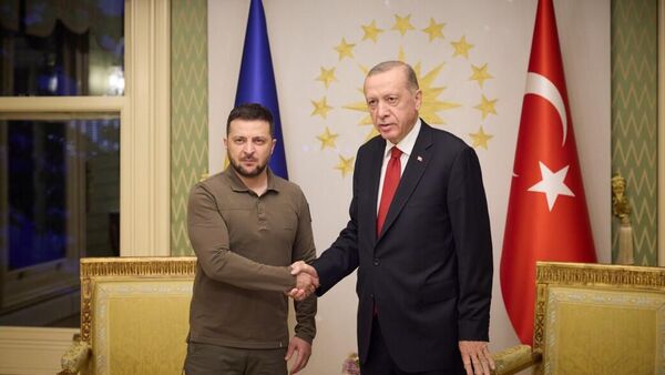 Президент Украины Владимир Зеленский и президент Турции Реджеп Тайип Эрдоган