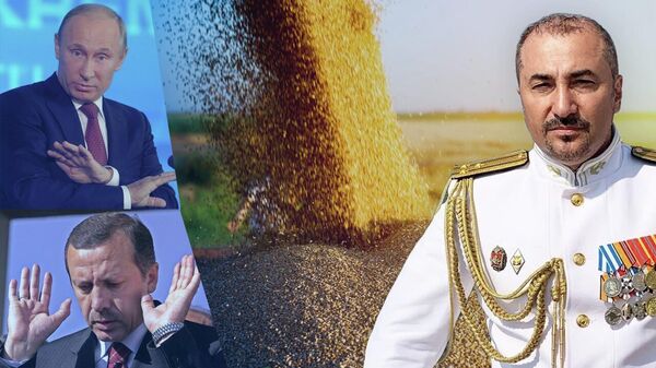 Не Россия и не Турция: Ераносян рассказал, кому выгодно отменить зерновую сделку. Видео