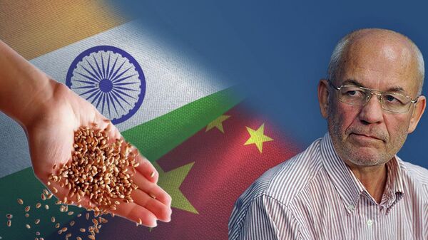 Что получили Китай и Индия, вернёмся ли мы в зерновую сделку и станет ли Кеннеди президентом - Домрин. Видео
