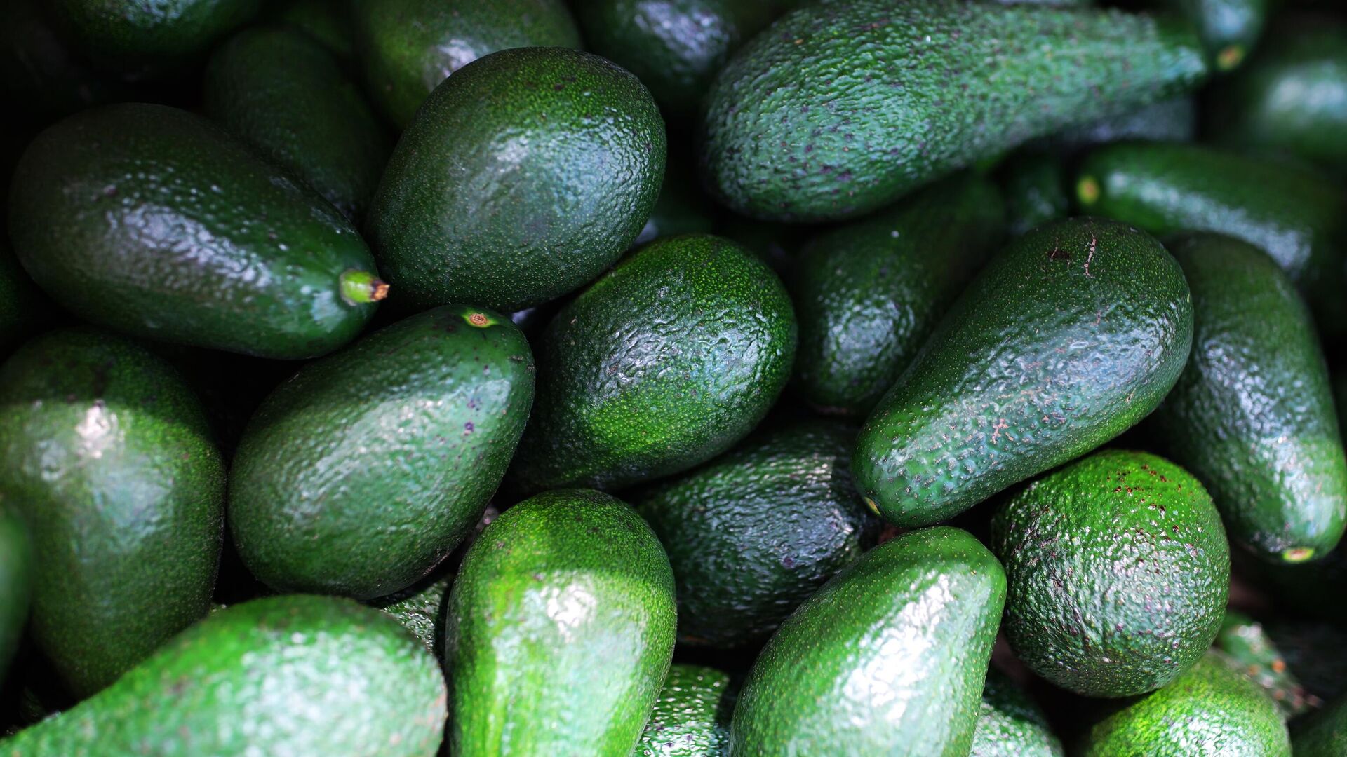 Магнит приостановил импорт фруктов и овощей из Китая - РИА Новости, 1920, 08.08.2023