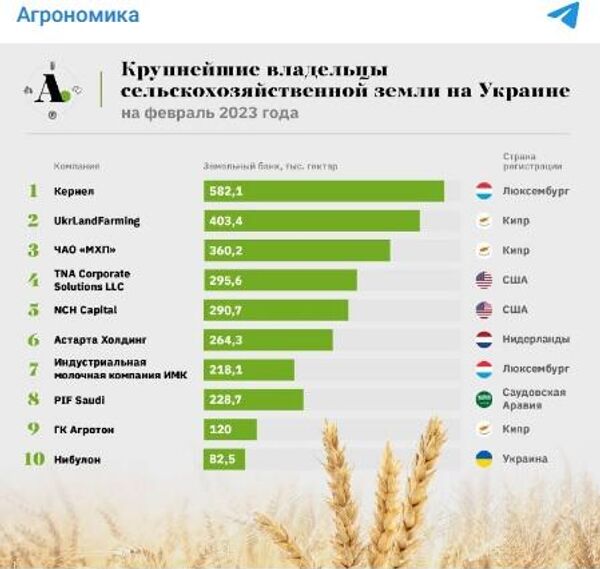 Крупнейшие владельцы сельхозземель Украины