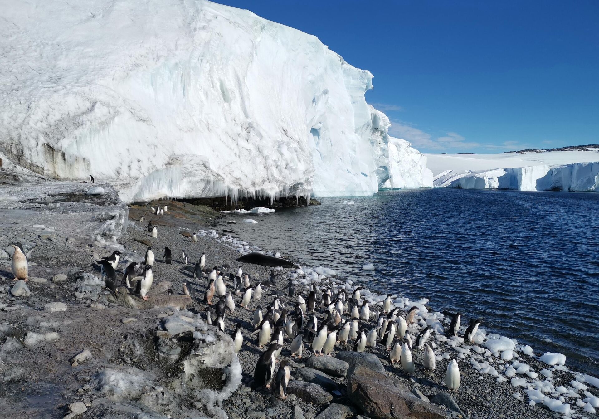   - РИА Новости, 1920, 01.02.2026