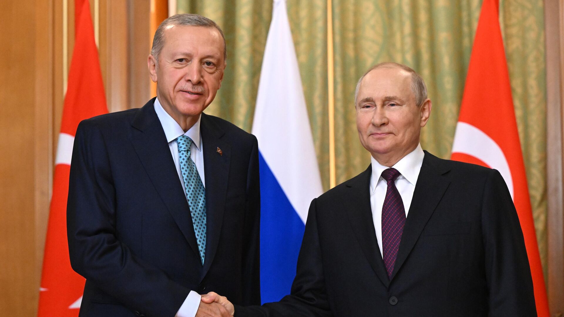 Президент РФ В. Путин провел переговоры с президентом Турции Р. Т. Эрдоганом - РИА Новости, 1920, 24.10.2023