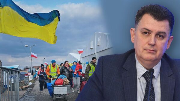 Депортация на фронт или военный налог? Дудчак об украинских беженцах. Видео