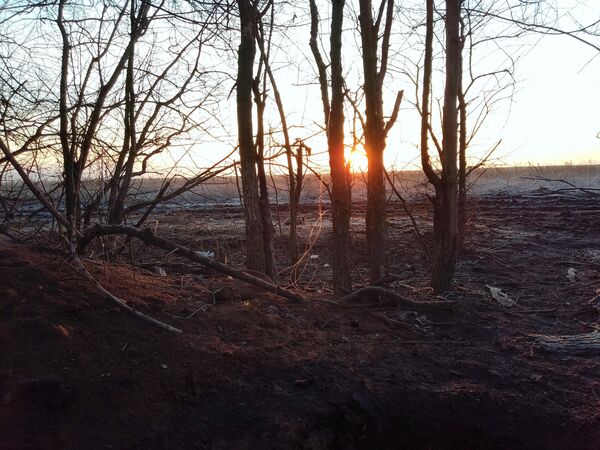 Рассвет на линии боестолкновений