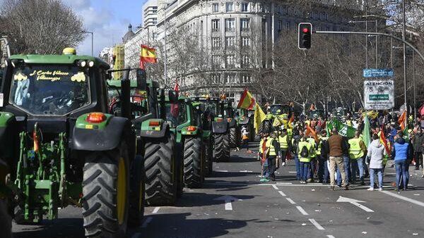 Мадрид сотрясают многотысячные протесты фермеров 