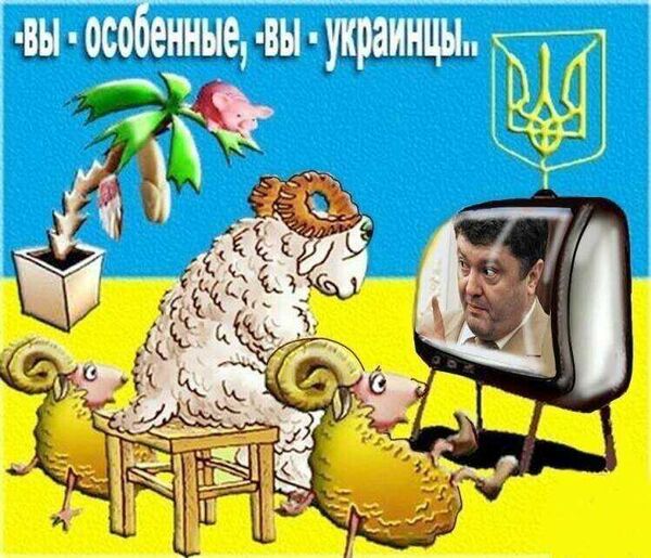Порошенко - карикатура