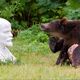 Ленин и медведь