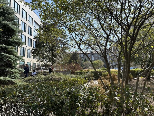 Донецкая осень