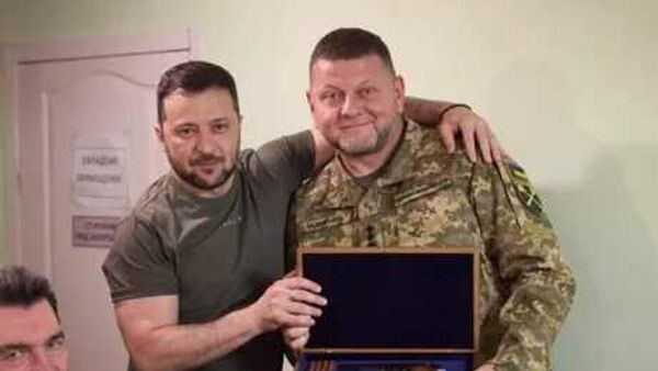 Рокировка Зеленского на Залужного: pro & contra