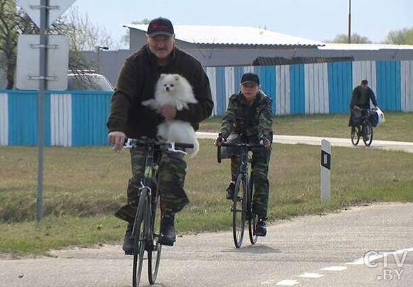 Фото: ctv.by, Александр Лукашенко на велосипеде с Умкой 
