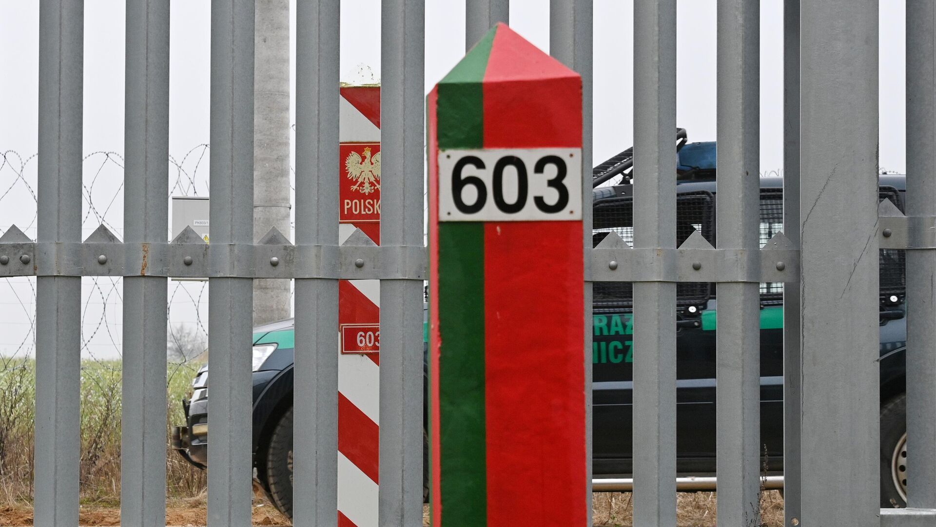 Ситуация на белорусско-польской границе - РИА Новости, 1920, 17.01.2026