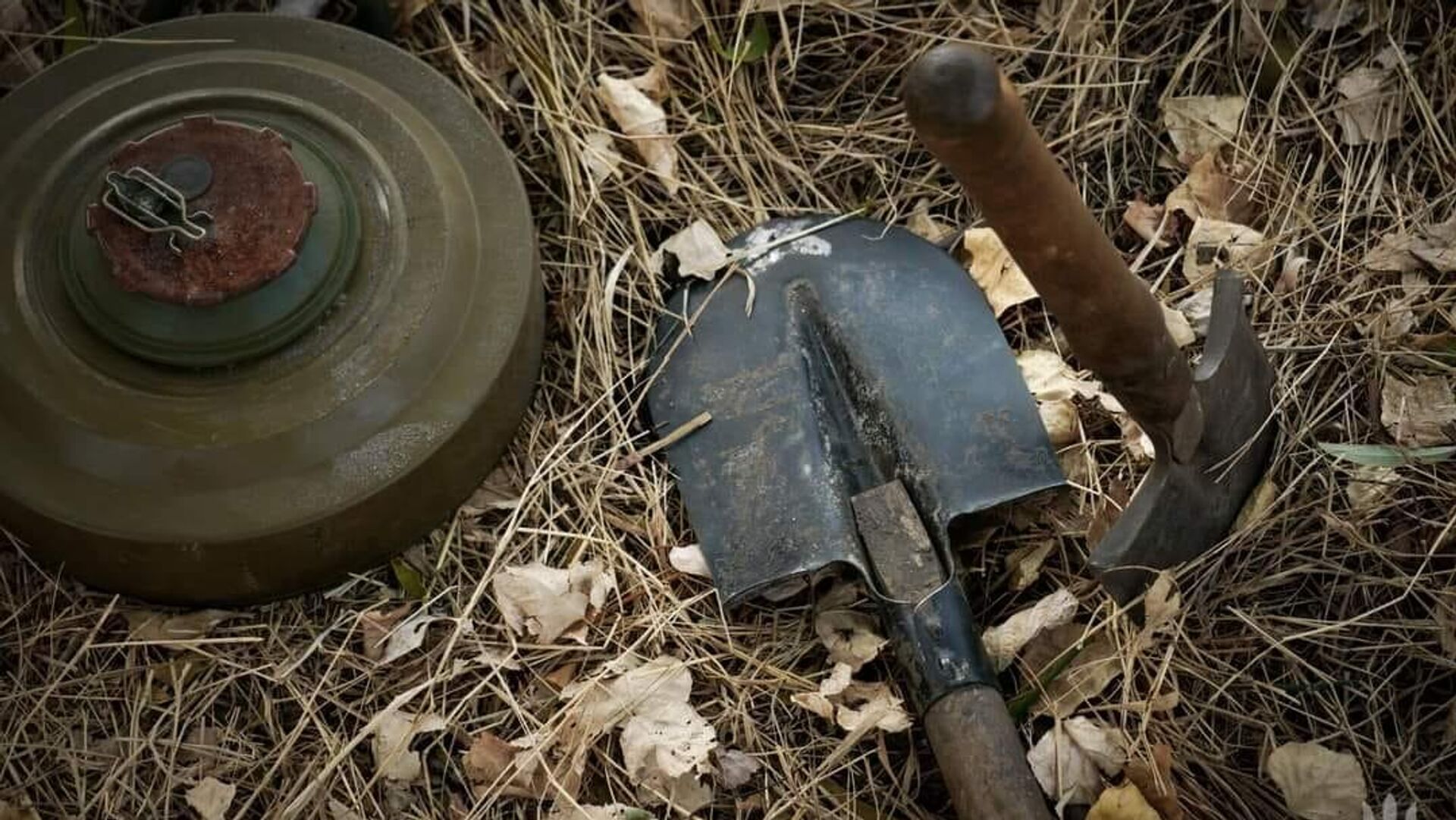 Мина - РИА Новости, 1920, 02.07.2025