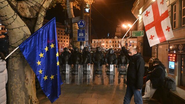 © РИА Новости . Михаил Воскресенский / Протесты в Тбилиси Тбилиси против