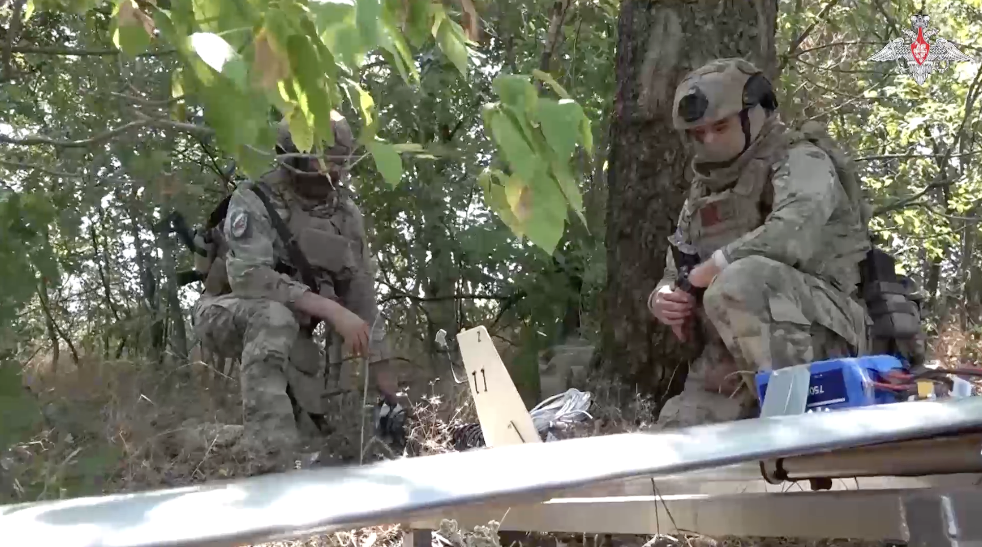 Дрон Молния-1 - РИА Новости, 1920, 03.01.2025