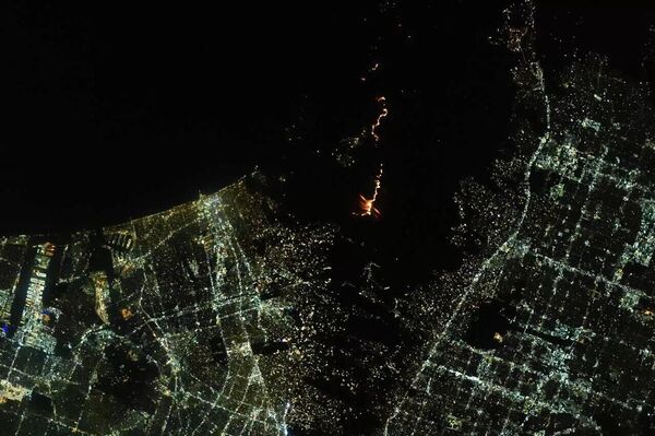 Снимок пожаров в Лос-Анджелесе с борта МКС
