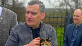 Хинштейн в Золотухинском районе