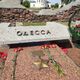 В Брестской крепости сегодня 02.05.2025 Дмитрий Алимкин 