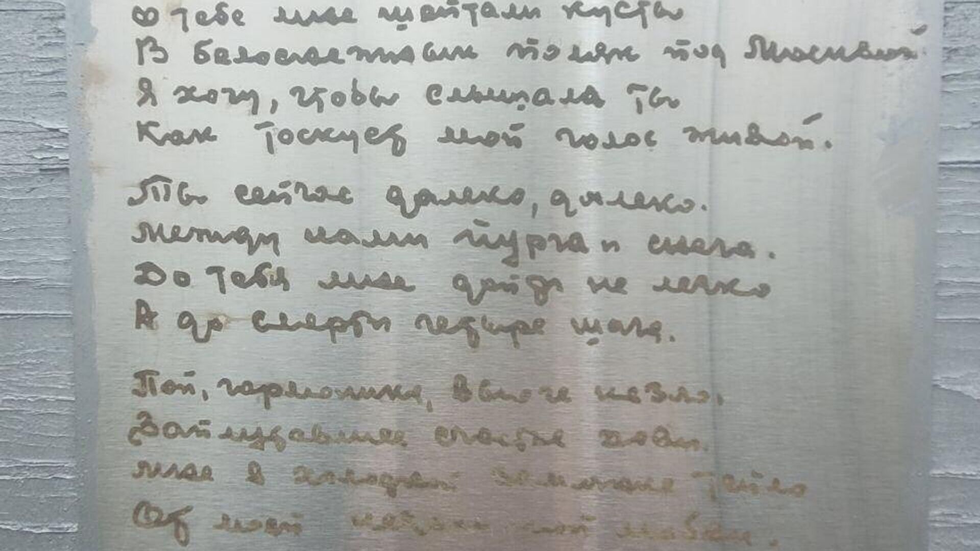 У памятного знака под Истрой У памятного знака под Истрой - РИА Новости, 1920, 03.05.2025