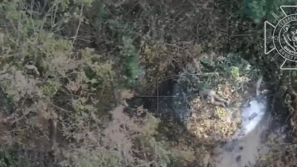 ВСУ не прекращают попыток прорыва в Тёткино: поздним вечером и ночью Северяне отразили пять атак противника