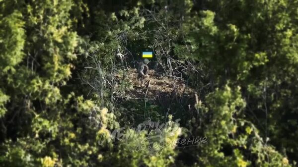 В Сети появились кадры выхода бойцов ВС РФ на границу ДНР и их захода в Днепропетровскую область